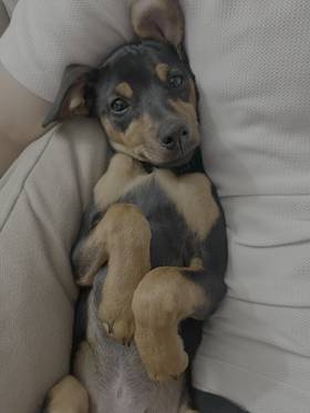 Read Comic to Purchase 1  1 Page 1 in English